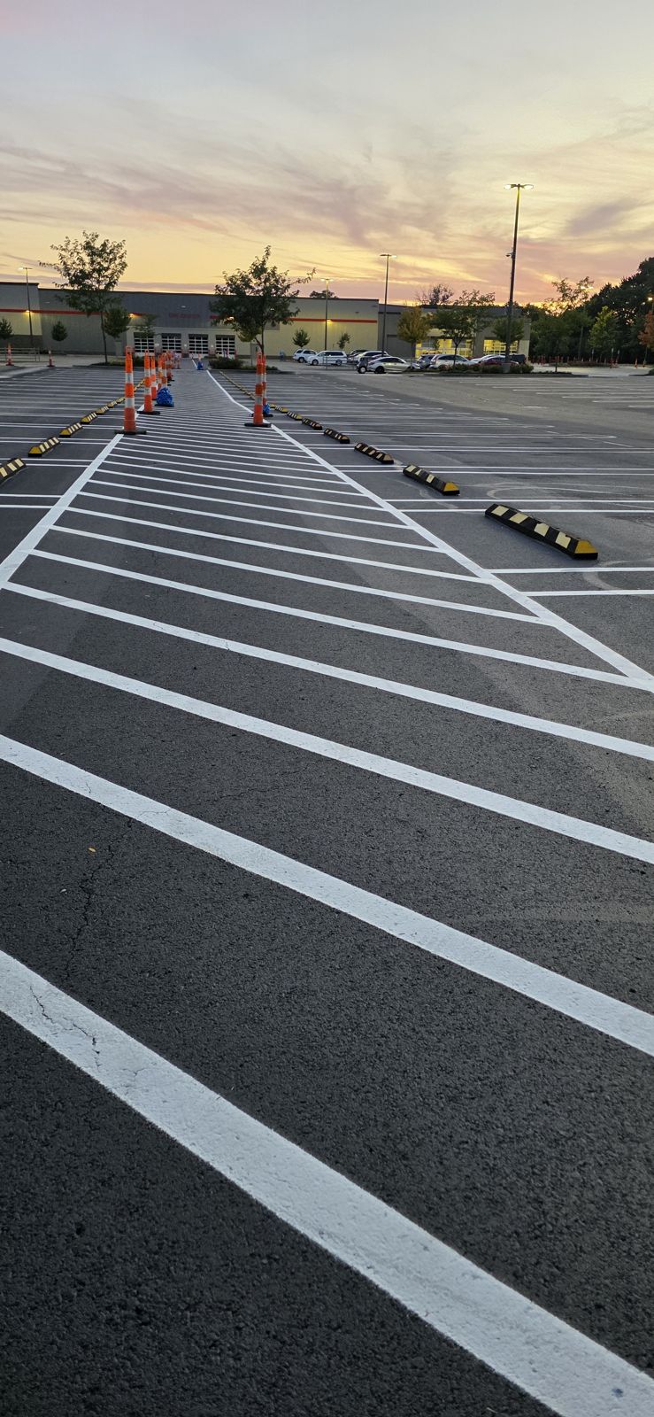 Fresh white parking stripes on new asphalt at sunset, cones down the row